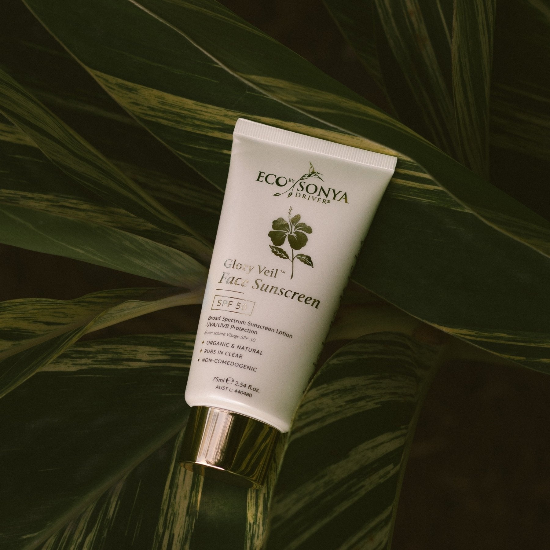 Glory Veil Face Sunscreen SPF 50 - Eco By Sonya organic zinc suncare